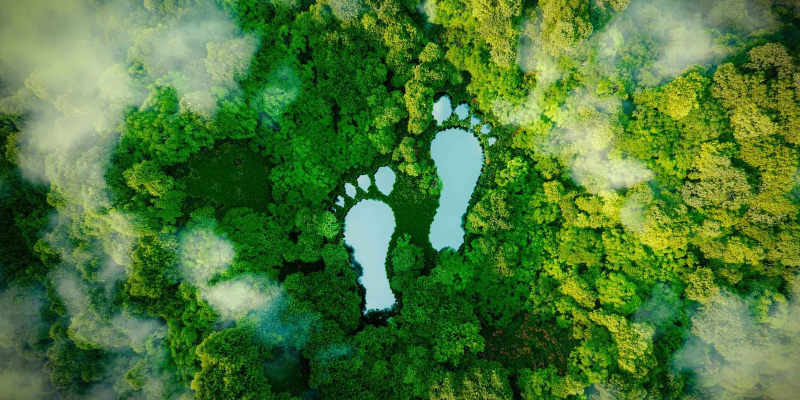 Our Carbon Footprint Goals
